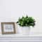 11" Artificial Boxwood Plant with Decorative Planter